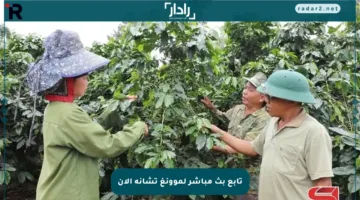 تابع بث مباشر لموونغ تشانه الآن